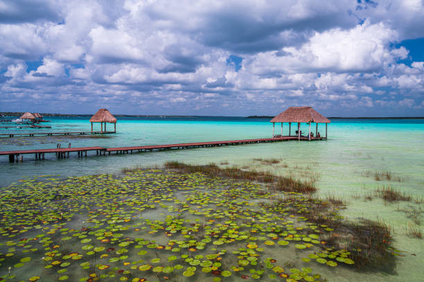 istock Turquoise Water in Bacalar 1498775277