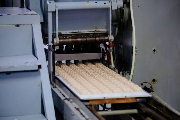 istock Confectionery factory. Zephyr and marshmallows forming process 1498776988