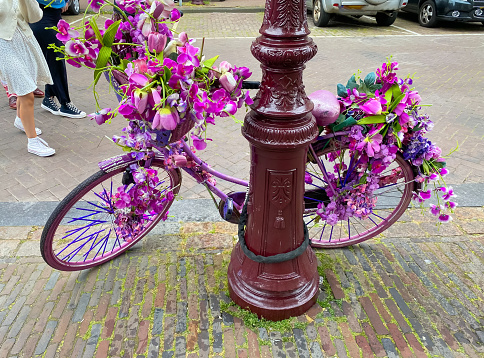 A bicycle, chained to a lamppost, is decorated with a multitude of purple flowers on an Amsterdam street.