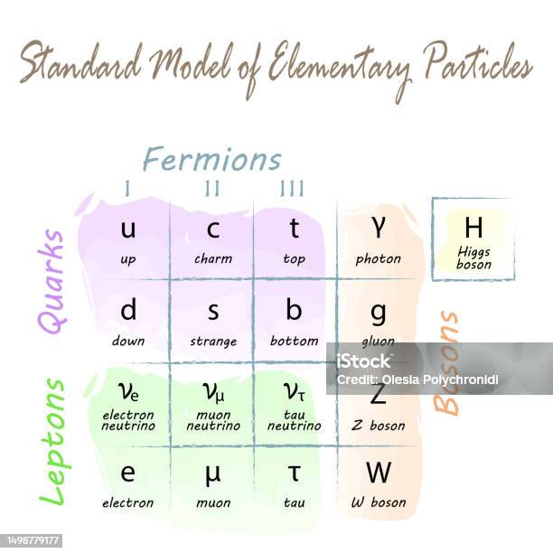Tabel Model Standar Partikel Elementer Ilustrasi Stok - Unduh Gambar ...