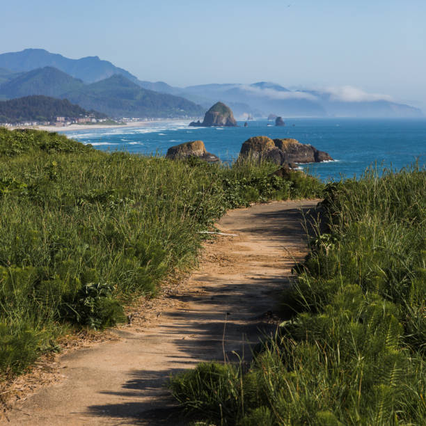Seashore at Point Reyes