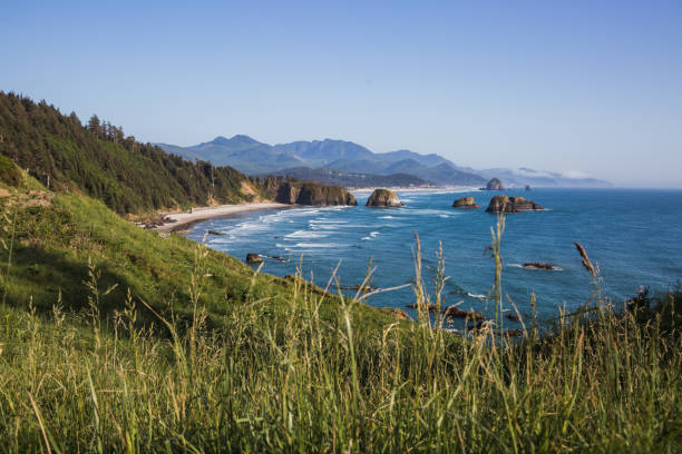 istock Oregon Coastline at Ecola State Park 1498785407