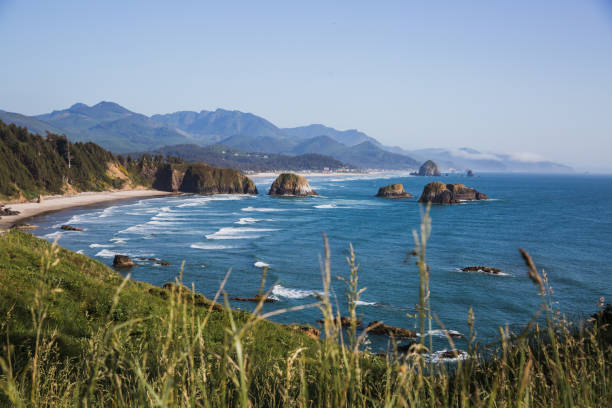 istock Oregon Coastline at Ecola State Park 1498785412