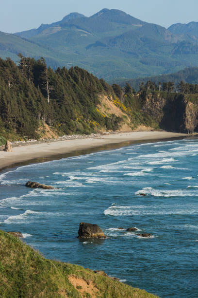 istock Oregon Coastline at Ecola State Park 1498785420
