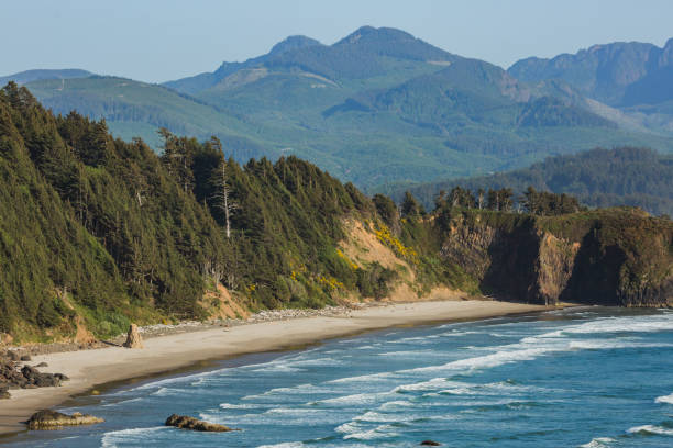 istock Oregon Coastline at Ecola State Park 1498785424
