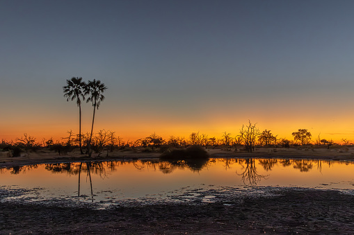 Spectacular skies and reflections on the water as the sun disappears behind the horizon in Botswana's Okavango Delta.