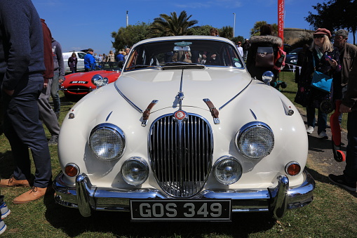 Pembrokeshire, United Kingdom - September 10, 2023: Morris Minor cars - known as 'Moggies' and built in England from 1948 until 1972, photographed at a rally at Scolton Manor, Pembrokeshire, Wales, to celebrate the 75th Anniversary of the marque.