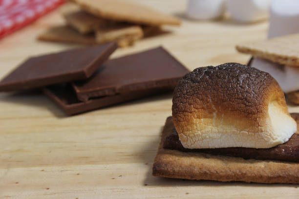 istock Smores. Marshmallow with Chocolate and Graham Crackers 1498787388