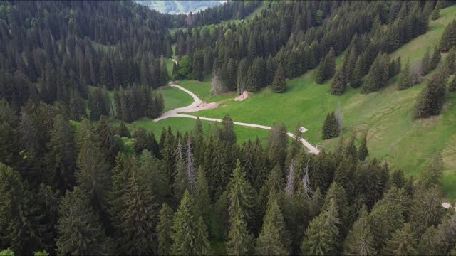 Drone - Forest and meadows in the mountains