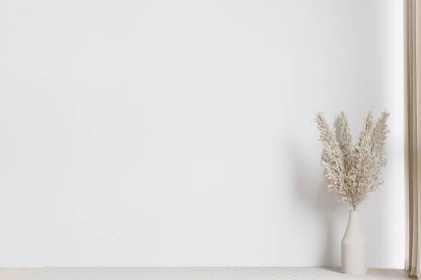 istock White wall with decorative plants in a vase. 3d rendering. 1498793502