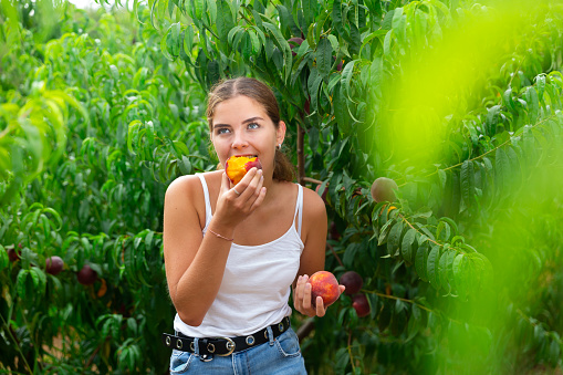 Girl biting fresh peach while standing amongst trees in garden.