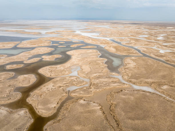 istock Natural shapes and textures on lake 1498803124