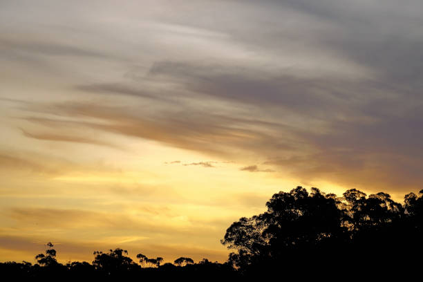 istock Lal Lal, Victoria, Australia 1498803542