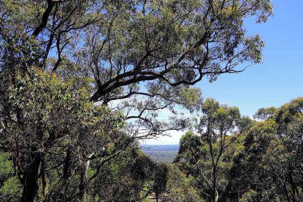 istock Lal Lal, Victoria, Australia 1498804137
