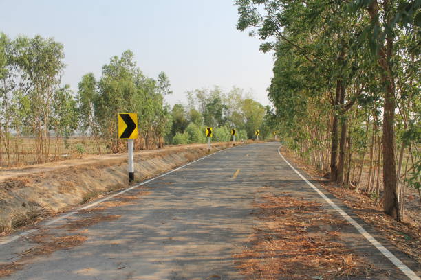 istock Paved road beside a canal without water during the day 1498806352