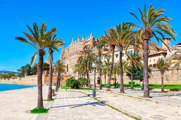 istock Cathedral of Mallorca and park with palm trees 1498807565