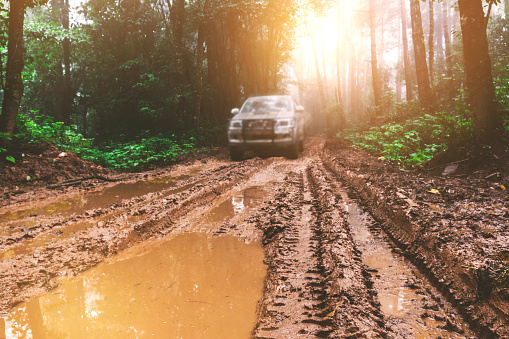 Car on a dirt road in forest. Off-road tire covered with mud,