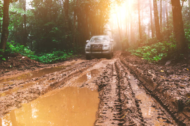 car on a dirt road in forest. off-road tire covered with mud, - mud road tire track footpath imagens e fotografias de stock