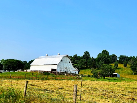 White barn near tree-filled hill in Indiana farm field