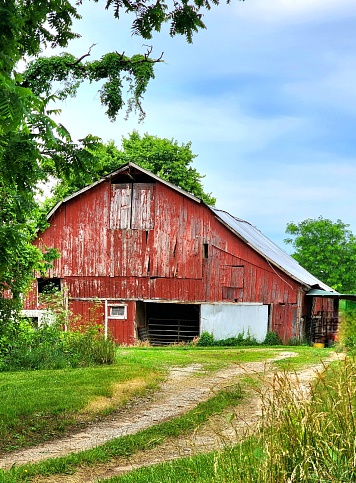 Green Barn and  Blue Sky with Scattered Clouds