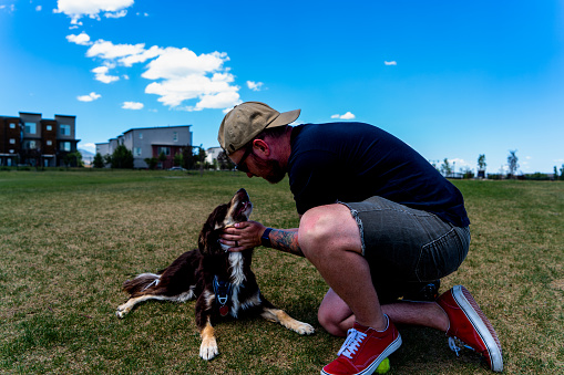 A man, clad in a black shirt and comfortable gray shorts, joyfully engages in a game of fetch with his beloved four-legged companion at the lively dog park. The dog, an enchanting blend of brown and fawn hues, showcases the distinctive charm of a Collie and Australian Shepherd mix. With boundless energy and agility, the dog darts across the green expanse, tail wagging in sheer delight. The man's animated gestures and infectious laughter fill the air as he expertly tosses a vibrant tennis ball, his canine companion eagerly retrieving it with a graceful determination. Their bond shines through their shared moments of play, creating an endearing scene of camaraderie amidst the joyful chaos of the dog park.
