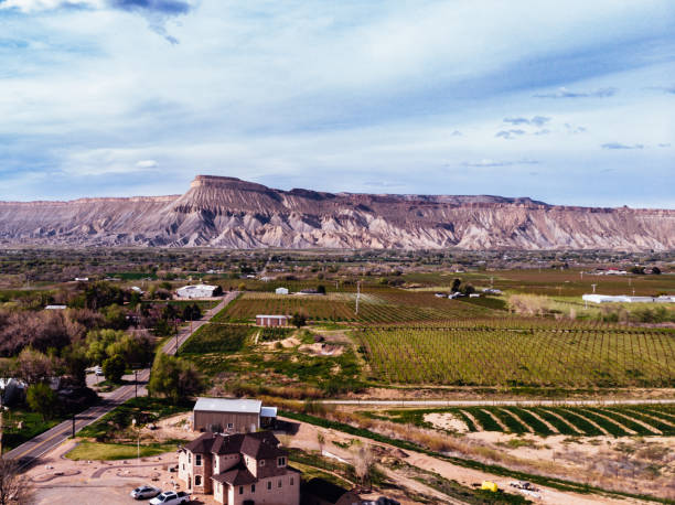 From an aerial perspective above Palisade, Colorado, a captivating scene unfolds before your eyes. Vast orchards sprawl across the landscape, their trees laden with vibrant fruits. Farmhouses and fields create a charming foreground, dotted with tractors and patches of verdant crops. In the distance, the majestic Bookcliff Mountains stand tall, their rugged peaks reaching towards the heavens. Mount Garfield, a grand sentinel, commands attention with its imposing presence. The juxtaposition of the fertile orchards, picturesque farm life, and the magnificent backdrop of mountains creates a breathtaking tableau, a testament to the beauty and harmony of nature and human endeavor.