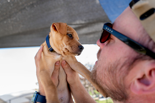 Under the radiant glow of a sunny spring day, a man stood wearing sunglasses, a black t-shirt, and a tan baseball hat. In his hands, he cradled a newborn pitbull puppy with golden blonde fur. Their eyes locked in an intimate connection as the puppy nestled against the man's face, their joy palpable. The man's smile illuminated the scene, radiating a sense of warmth and tenderness. Nature's embrace surrounded them, as blooming flowers and lush greenery served as a vibrant backdrop to their precious encounter. In this harmonious moment of pure affection, a new bond was forged, promising a lifetime of love and companionship.