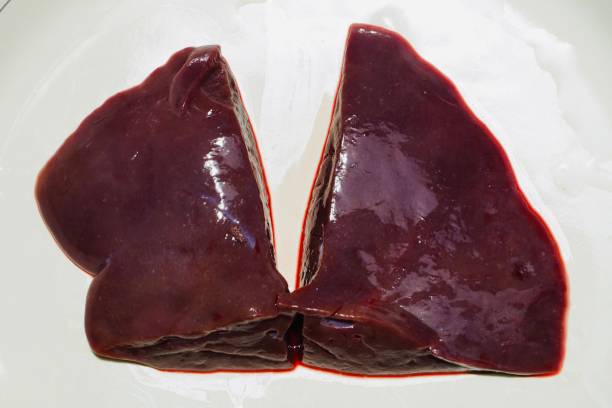 istock Raw lamb liver isolated on white background. 1498817718