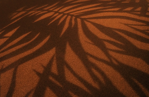 Shadows on a carpeted floor resembling leaves in orange lighting