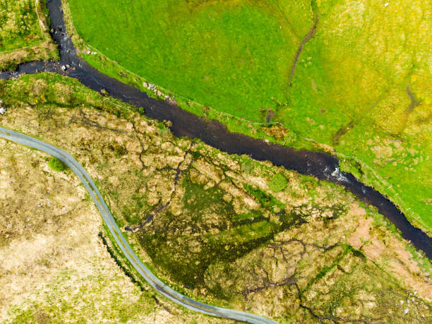 曇りの日のキラーニー国立公園の美しい空中トップダウン風景。 - carlow ストックフォトと画像