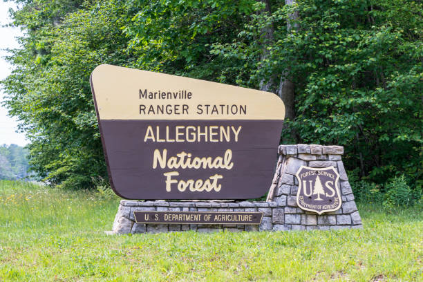 A Allegheny National Forest sign inMarienville, Pennsylvania, USA stock photo