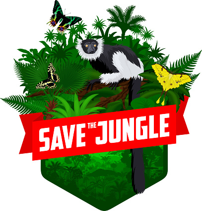 vector jungle rainforest emblem with Madagascar black-and-white ruffed lemur, Madagascan sunset moth and African moon moth