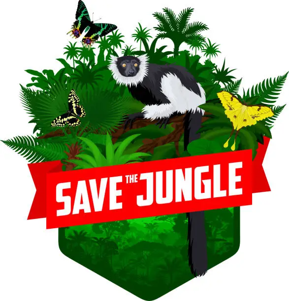 Vector illustration of vector jungle rainforest emblem with Madagascar black-and-white ruffed lemur, Madagascan sunset moth and African moon moth