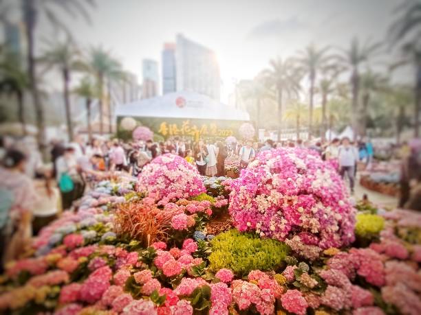 Wonders of Colorful Hong Kong Flower Show