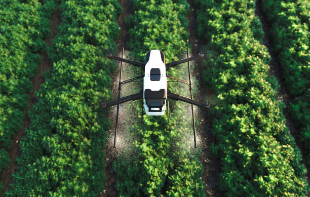 istock Drone spraying fertilizer on vegetable green plants, Agriculture technology, Farm automation. 1498834508