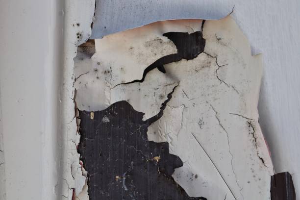 istock Weathered White Wall in Bad Condition with Peeling Paint and Cracks 1498840099