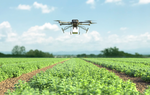 Drone spraying fertilizer on vegetable green plants, Agriculture technology, Farm automation. 3D illustration