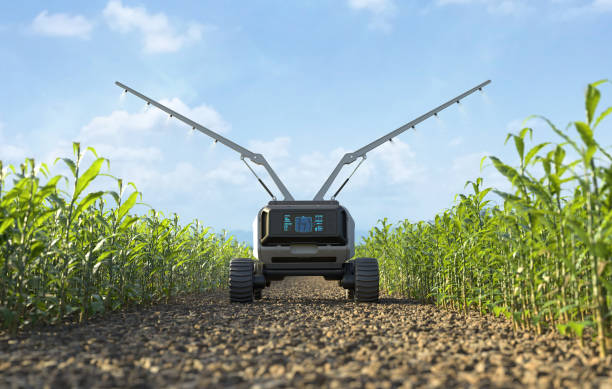 Agricultural robots work in smart farms, Robot spraying fertilizer on corn fields, Smart agriculture farming concept.