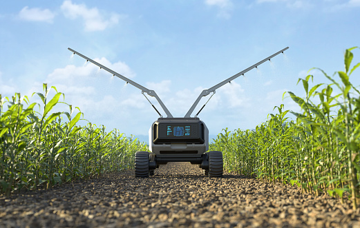 Agricultural robots work in smart farms, Robot spraying fertilizer on corn fields, Smart agriculture farming concept. 3D illustration