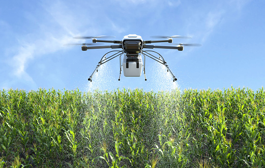 Drone spraying fertilizer on corn fields, Agriculture technology, Farm automation. 3D illustration