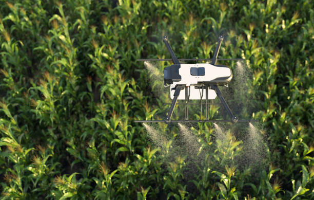 istock Drone spraying fertilizer on vegetable green plants, Agriculture technology, Farm automation. 1498842934