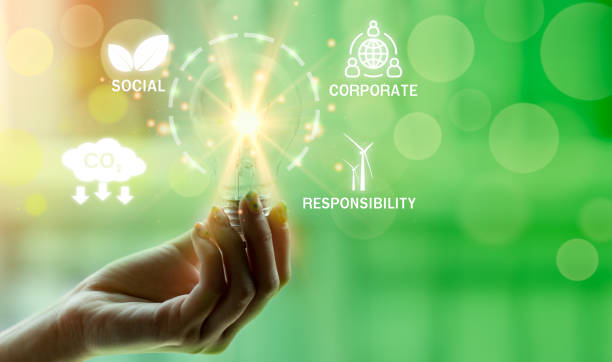 esg concept in the woman hand for environmental, social, and governance in sustainable and ethical business on the network connection on a green background. - the natural world plant attribute natural phenomenon mineral imagens e fotografias de stock