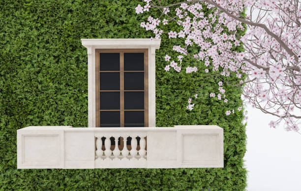 Abstact 3d render spring scene and Natural backgroun, Building and balcony is covered with ferns,  Outside cherry blossom flowers tree for product display design, advertising, cosmetic, mock up or etc