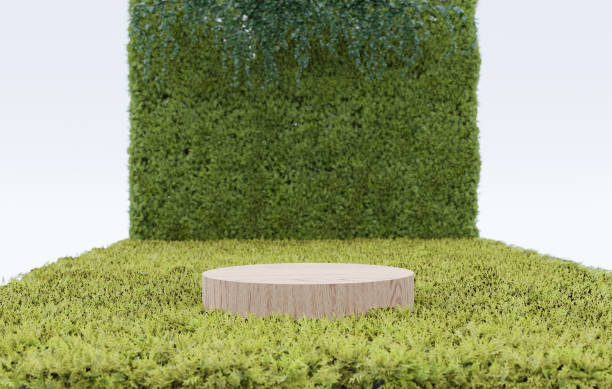 istock Abstract 3d render platform natural background, wooden podium on the fern field backdrop leaf wall and ivy for product display design, advertising, cosmetic, mock up or etc 1498855297