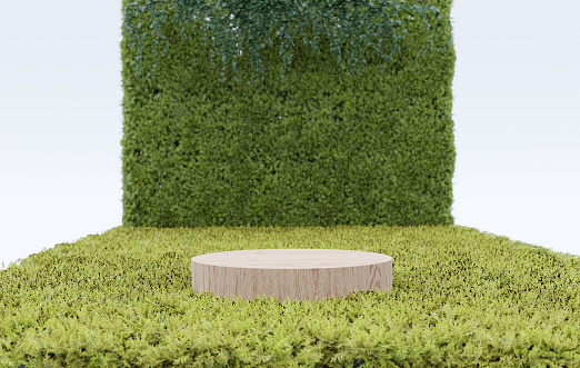 Abstract 3d render platform natural background, wooden podium on the fern field backdrop leaf wall and ivy for product display design, advertising, cosmetic, mock up or etc