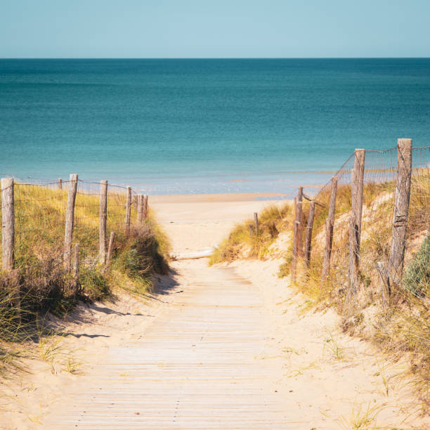 istock Wild beach,  atlantic ocean in France 1498863660
