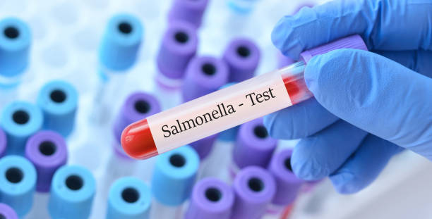 doctor holding a test blood sample tube with salmonella test on the background of medical test tubes with analyzes. - blood red blood cell blood cell blood sample imagens e fotografias de stock