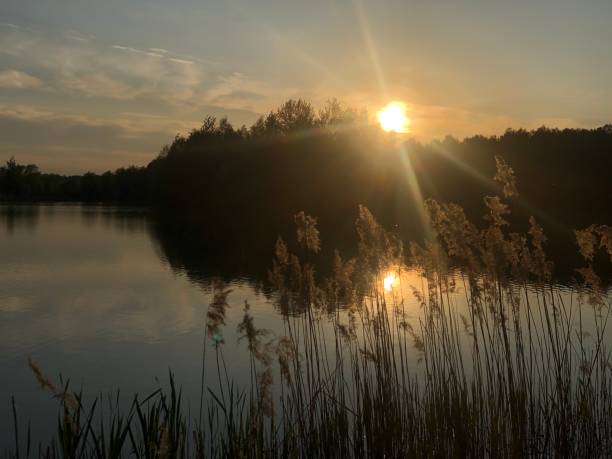 istock sunset over lake with the sun setting behind it 1498865418