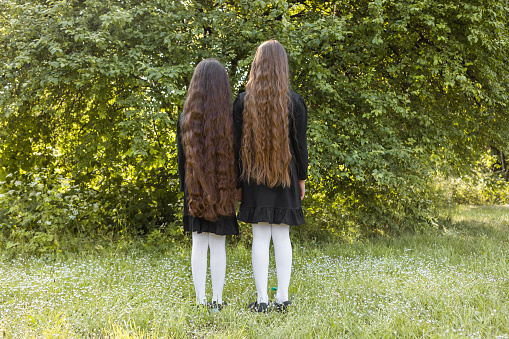 Back View Of Little Girls With Extra Long Curly Healthy Beautiful Shiny Hair On Nature Background. Outdoor On A Sunny Day. Cute Happy Kids In Dress Walking. Hair Growth And Care. Horizontal Plane.