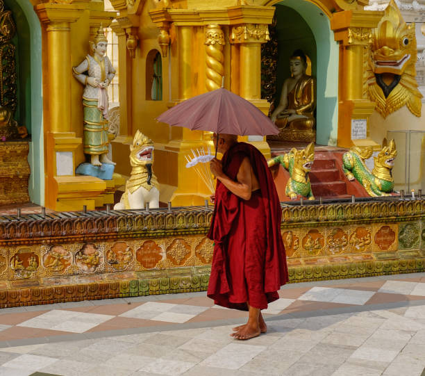 Yangon, Myanmar - Feb 26, 2016. A Buddhist monk walking at Shwedagon Pagoda in Yangon, Myanmar.